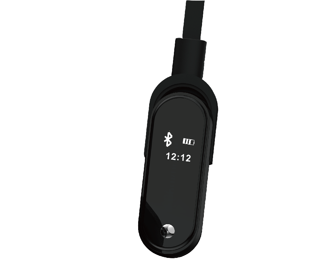 JMP- PA22T手环(图5)